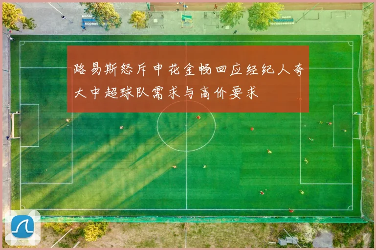 路易斯怒斥申花金畅回应经纪人夸大中超球队需求与高价要求